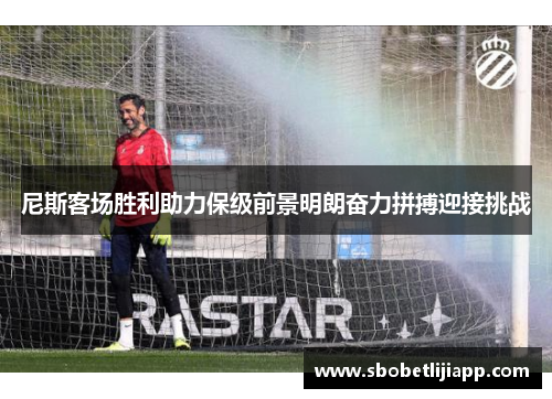 尼斯客场胜利助力保级前景明朗奋力拼搏迎接挑战