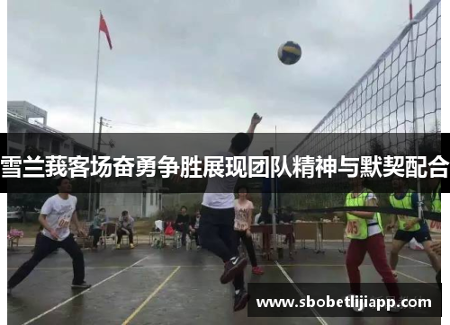 雪兰莪客场奋勇争胜展现团队精神与默契配合