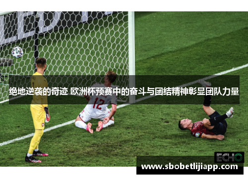 绝地逆袭的奇迹 欧洲杯预赛中的奋斗与团结精神彰显团队力量