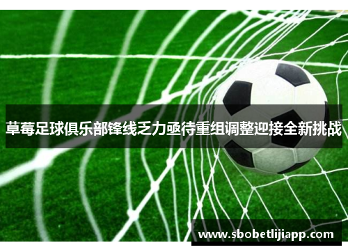 草莓足球俱乐部锋线乏力亟待重组调整迎接全新挑战