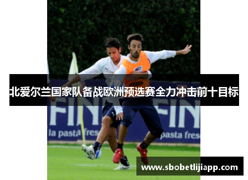 北爱尔兰国家队备战欧洲预选赛全力冲击前十目标