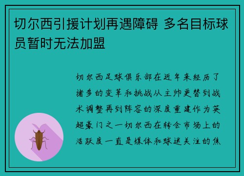 切尔西引援计划再遇障碍 多名目标球员暂时无法加盟